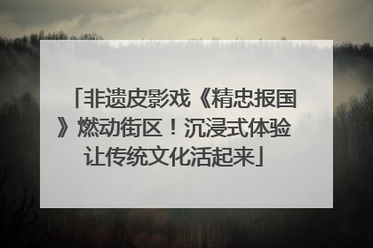 非遗皮影戏《精忠报国》燃动街区！沉浸式体验让传统文化活起来