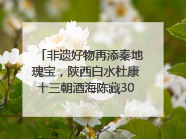 非遗好物再添秦地瑰宝，陕西白水杜康十三朝酒海陈藏30年别具一格