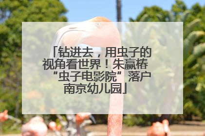 钻进去，用虫子的视角看世界！朱赢椿“虫子电影院”落户南京幼儿园