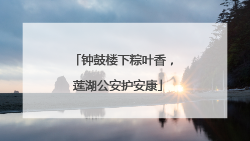 钟鼓楼下粽叶香，莲湖公安护安康