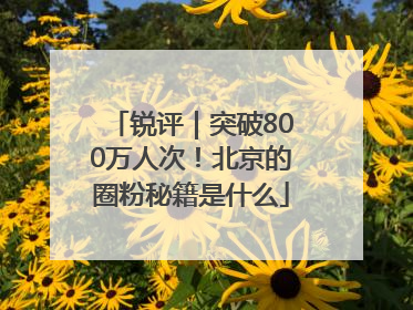 锐评｜突破800万人次！北京的圈粉秘籍是什么