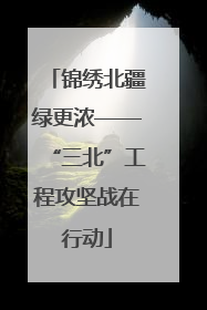 锦绣北疆绿更浓——“三北”工程攻坚战在行动