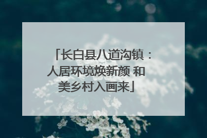 长白县八道沟镇：人居环境焕新颜 和美乡村入画来