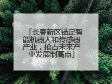 长春新区锚定智能机器人和传感器产业，抢占未来产业发展制高点