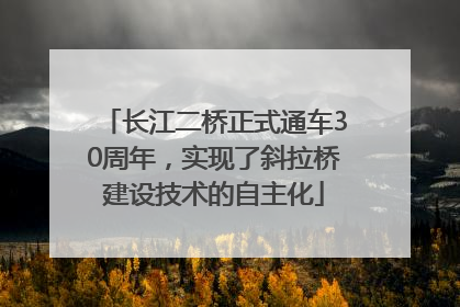 长江二桥正式通车30周年，实现了斜拉桥建设技术的自主化