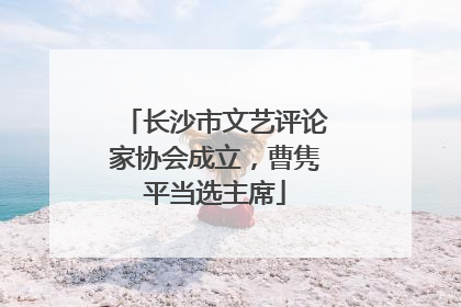 长沙市文艺评论家协会成立，曹隽平当选主席
