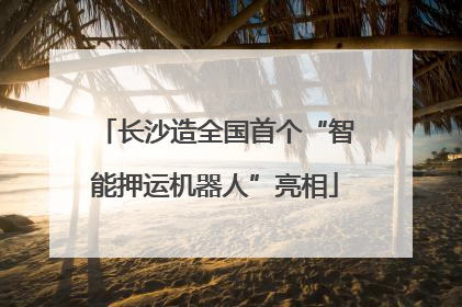长沙造全国首个“智能押运机器人”亮相