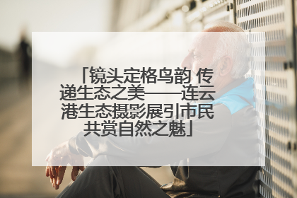 镜头定格鸟韵 传递生态之美——连云港生态摄影展引市民共赏自然之魅