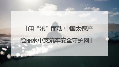 闻“汛”而动 中国太保产险丽水中支筑牢安全守护网