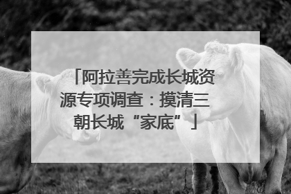 阿拉善完成长城资源专项调查：摸清三朝长城“家底”