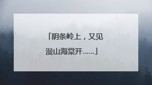 阴条岭上，又见漫山海棠开……
