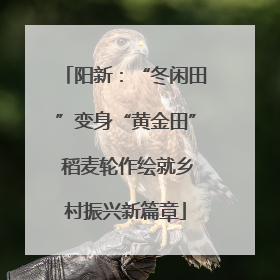阳新：“冬闲田”变身“黄金田” 稻麦轮作绘就乡村振兴新篇章