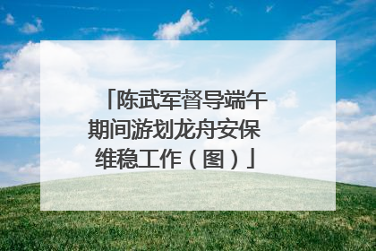 陈武军督导端午期间游划龙舟安保维稳工作（图）