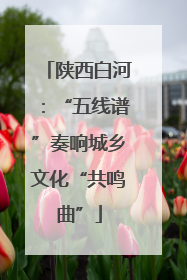 陕西白河：“五线谱”奏响城乡文化“共鸣曲”