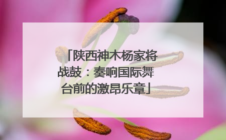 陕西神木杨家将战鼓：奏响国际舞台前的激昂乐章