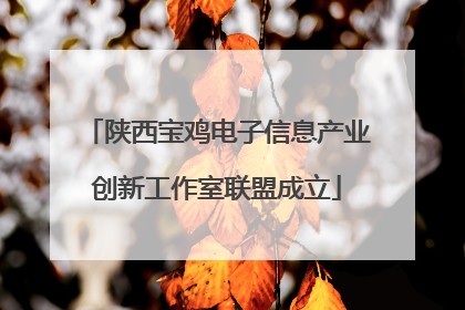 陕西宝鸡电子信息产业创新工作室联盟成立