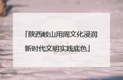 陕西岐山用周文化浸润新时代文明实践底色