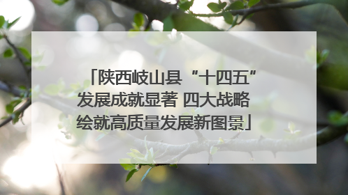 陕西岐山县“十四五”发展成就显著 四大战略绘就高质量发展新图景
