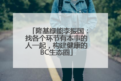 隆基绿能李振国：找各个环节有本事的人一起，构建健康的BC生态圈