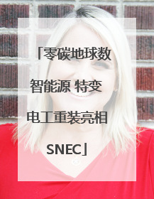 零碳地球数智能源 特变电工重装亮相SNEC