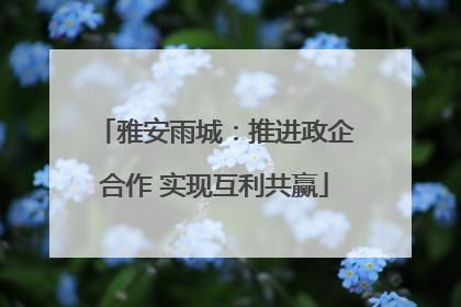 雅安雨城：推进政企合作 实现互利共赢