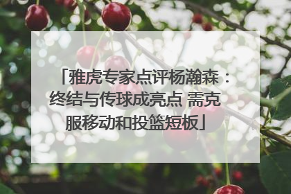 雅虎专家点评杨瀚森：终结与传球成亮点 需克服移动和投篮短板