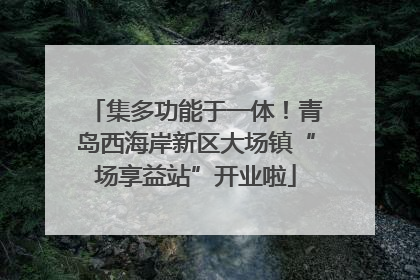 集多功能于一体！青岛西海岸新区大场镇“场享益站”开业啦