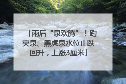 雨后“泉欢腾”！趵突泉、黑虎泉水位止跌回升，上涨3厘米