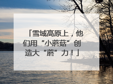 雪域高原上，他们用“小蘑菇”创造大“蘑”力！