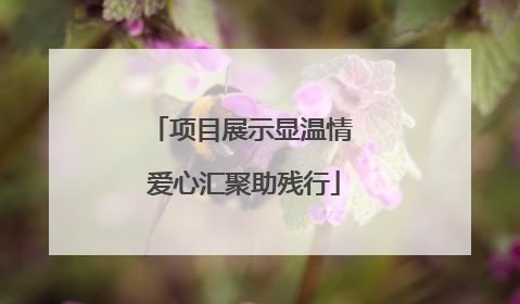 项目展示显温情 爱心汇聚助残行