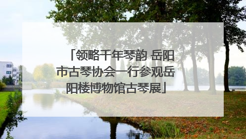 领略千年琴韵 岳阳市古琴协会一行参观岳阳楼博物馆古琴展