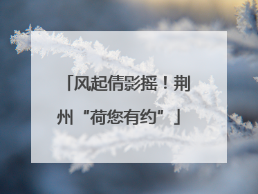风起倩影摇！荆州“荷您有约”