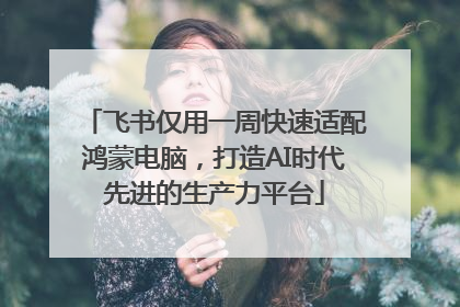飞书仅用一周快速适配鸿蒙电脑，打造AI时代先进的生产力平台