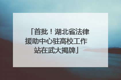 首批！湖北省法律援助中心驻高校工作站在武大揭牌