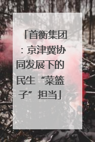 首衡集团：京津冀协同发展下的民生“菜篮子”担当