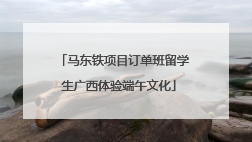 马东铁项目订单班留学生广西体验端午文化
