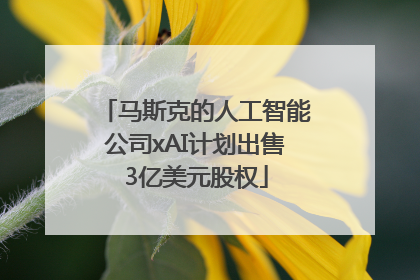马斯克的人工智能公司xAI计划出售3亿美元股权