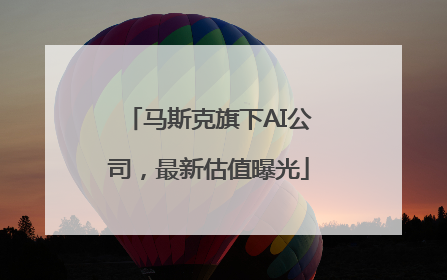 马斯克旗下AI公司，最新估值曝光