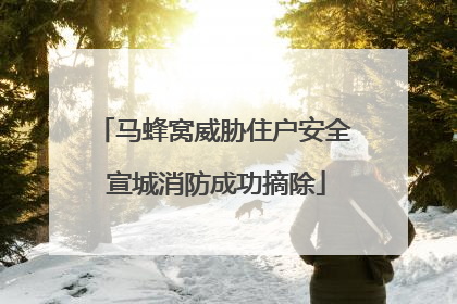 马蜂窝威胁住户安全 宣城消防成功摘除