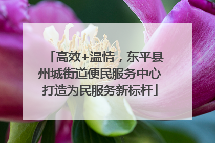 高效+温情，东平县州城街道便民服务中心打造为民服务新标杆