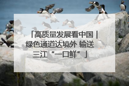 高质量发展看中国｜绿色通道达境外 输送三江“一口鲜”