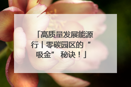 高质量发展能源行丨零碳园区的“吸金” 秘诀！