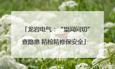 龙岩电气：“望闻问切”查隐患 精检精修保安全