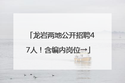 龙岩两地公开招聘47人！含编内岗位→
