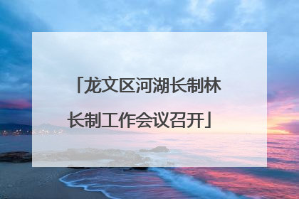 龙文区河湖长制林长制工作会议召开