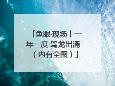 鱼眼·现场丨一年一度 驾龙出涌（内有全图）