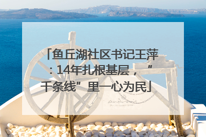 鱼丘湖社区书记王萍：14年扎根基层，“千条线”里一心为民