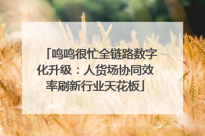 鸣鸣很忙全链路数字化升级：人货场协同效率刷新行业天花板