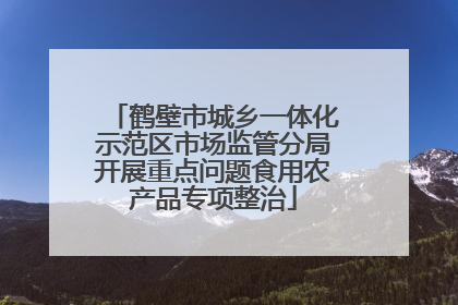 鹤壁市城乡一体化示范区市场监管分局开展重点问题食用农产品专项整治