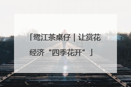 鹭江茶桌仔｜让赏花经济“四季花开”